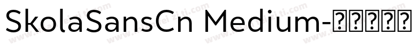 SkolaSansCn Medium字体转换